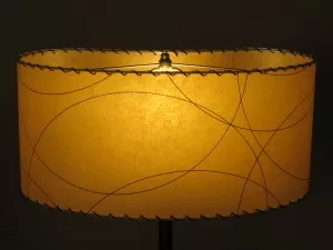 image of kidney-shaped lampshade
