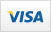 Visa credit card logo